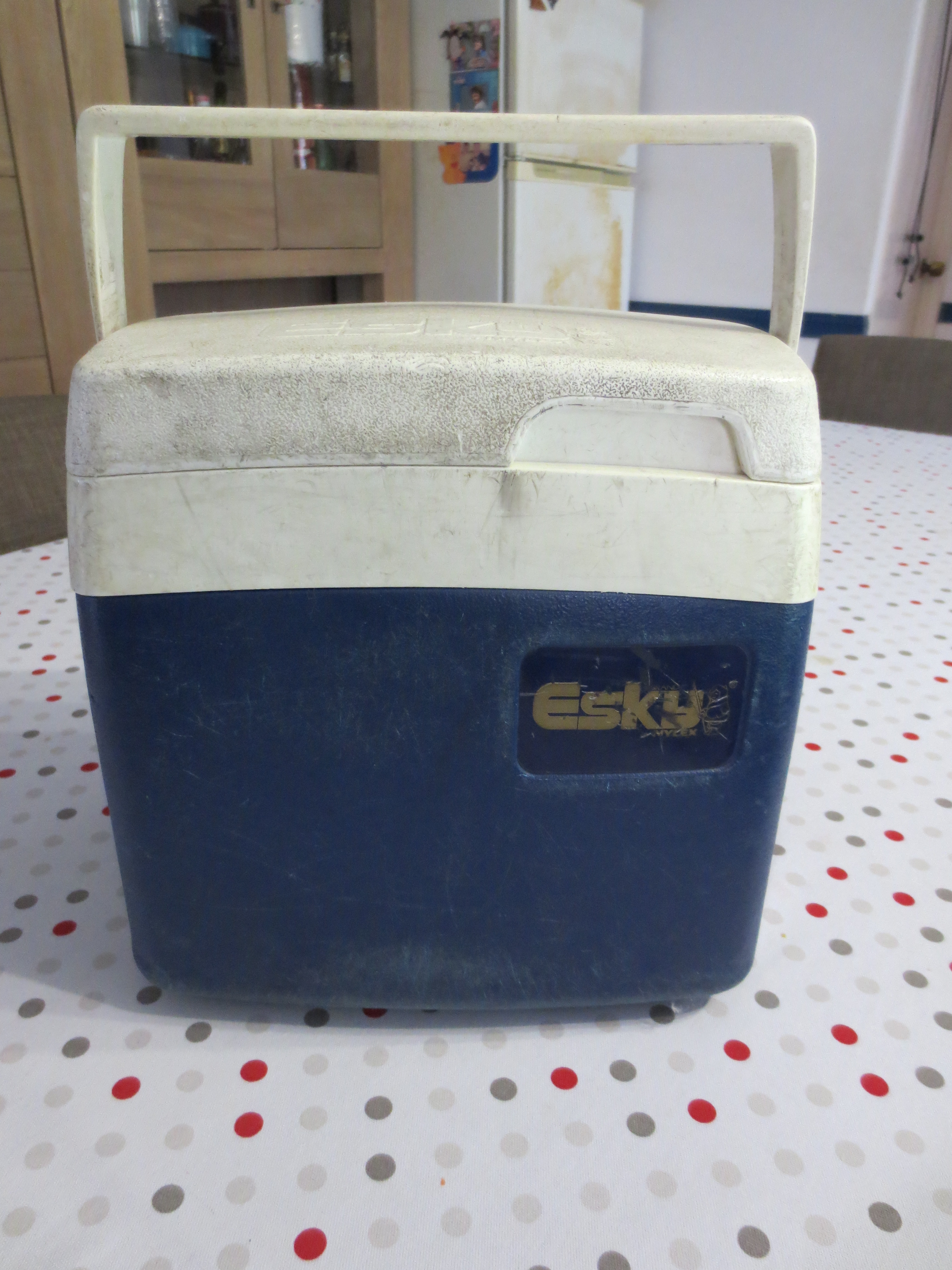 esky lunch box